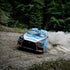 Rally Experience